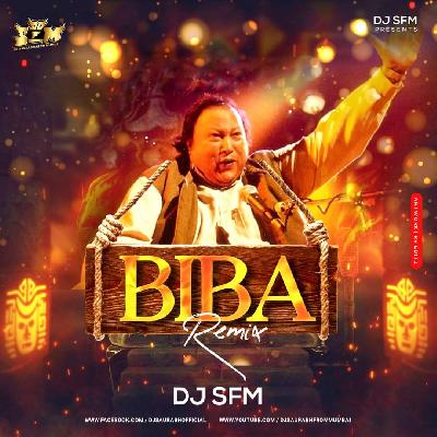 BIBA - REMIX - DJ S.F.M